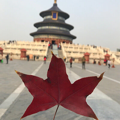 在唐山做借卵试管婴儿有什么要求？(2)