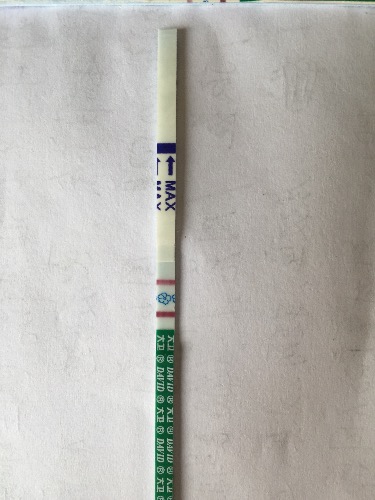 确保供卵做代怀试管代生高成功率的因素有哪些如果第一次供卵做试管失败该怎么办