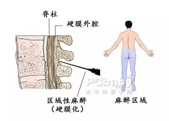精子成活率60%,想在阿尔法医院借卵做试管,可行吗