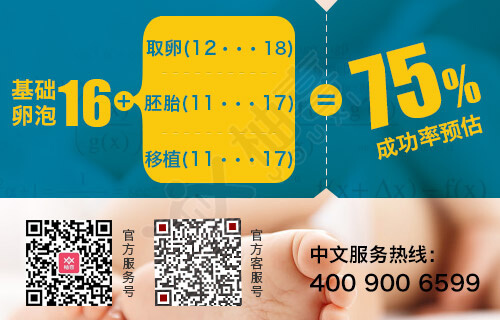 国外做供卵代怀试管怎么做的全过程国外做供卵自怀机构成功率