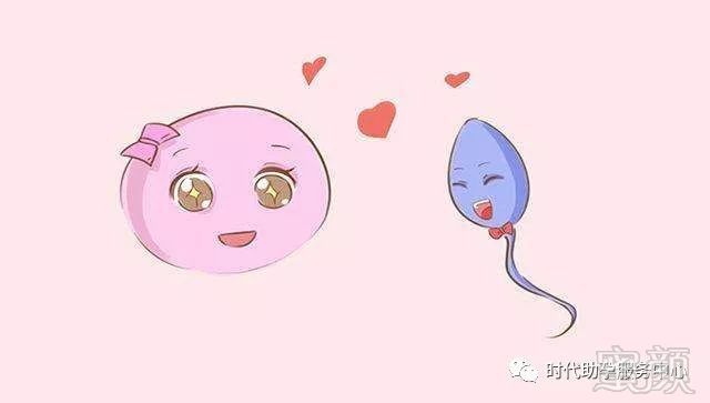 单身未婚在长春正规私立医院做供卵试管可以不排队吗附长春供卵不排队医院排名