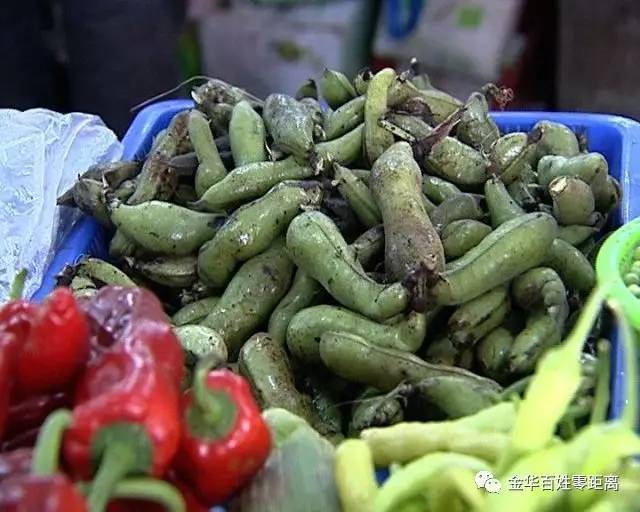 无创对供卵试管婴儿准吗