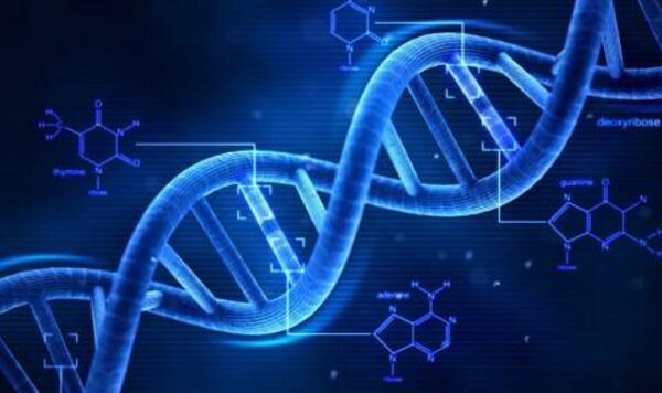 私人医院做代怀选男孩促排多少个卵泡好