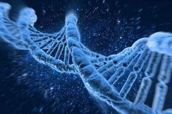 没有结婚证的单身未婚女性在国外买精子试管受孕要多少钱+