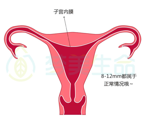 去石家庄供卵试管全包价的过程是怎样的