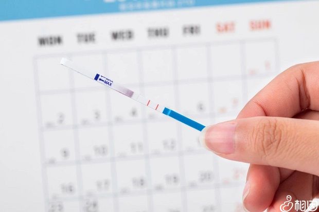 石家庄考试管理中心电话（河北考试网成绩查询）