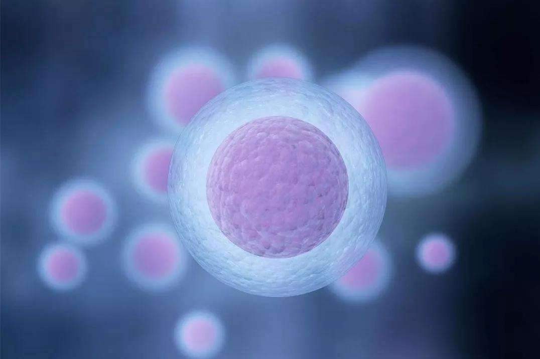 子宫内膜厚度13mm可以移植胚胎吗