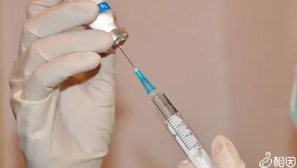 子宫内膜厚度13mm可以移植胚胎吗