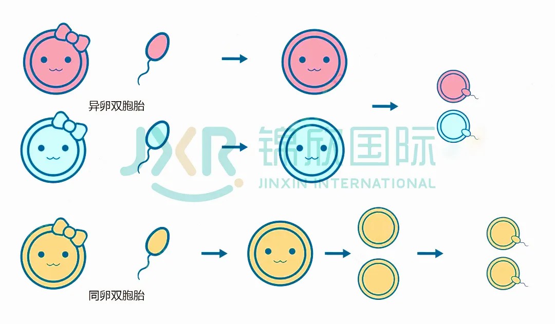 有姐妹知道怀男孩与提前做暖宫有什么关系吗