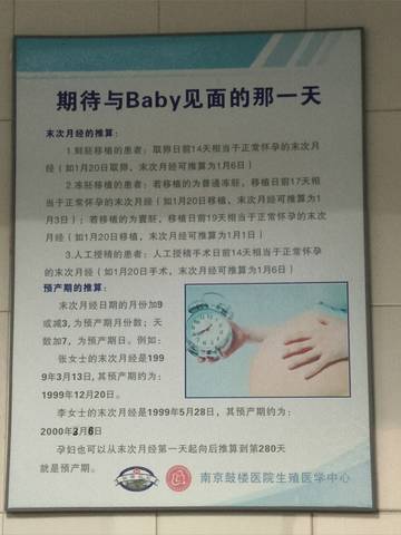孕育百科重返-1岁-卵子的自述,揭秘生命源头