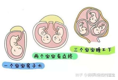 2024石家庄卵巢早衰代怀女孩医院大全,助孕生殖医院排行名单