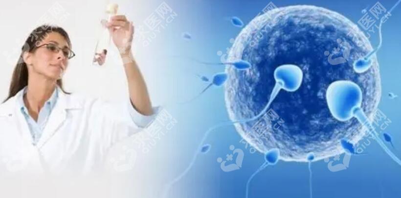 2024河北能做供卵代生男孩的医院有哪些（附河北石家庄代怀生子多少钱排名）