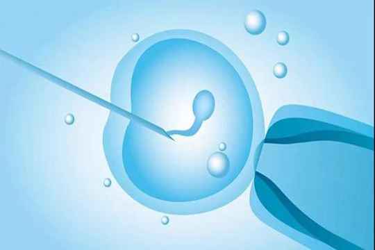 2024年石家庄市妇幼保健院做供卵三代试管包助孕捐卵医院费用
