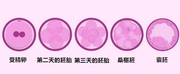 精子活力低可以备孕吗